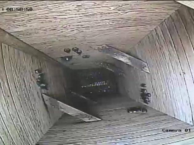Chimney Swift Towers
