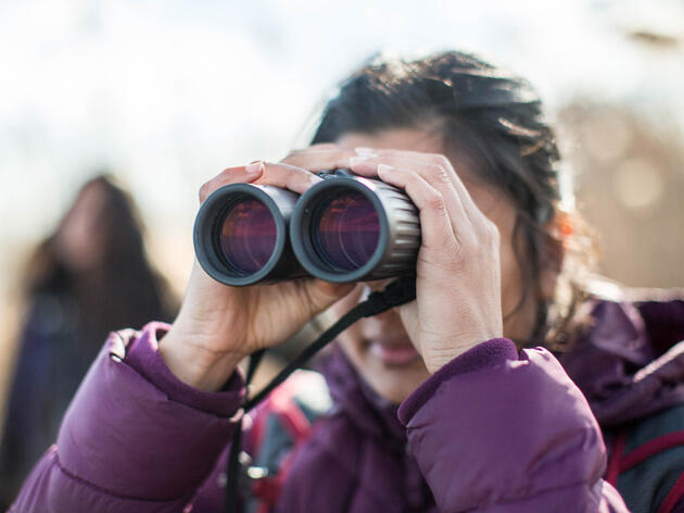 Register for eBird Webinars