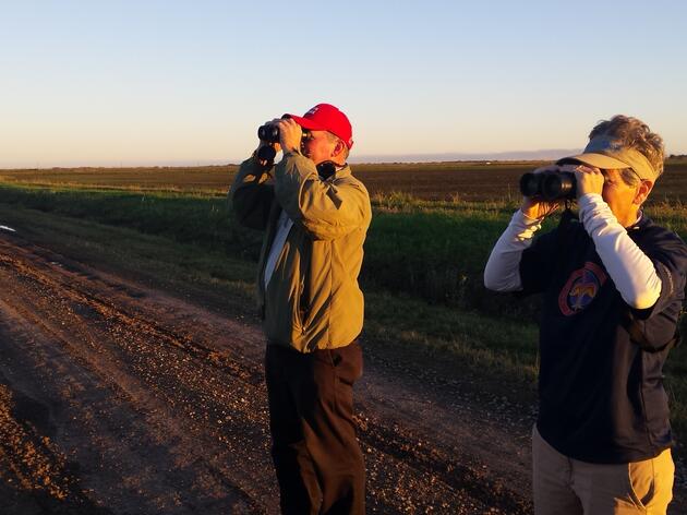 Help Count Birds for Science during Audubon’s 117th Annual Christmas Bird Count