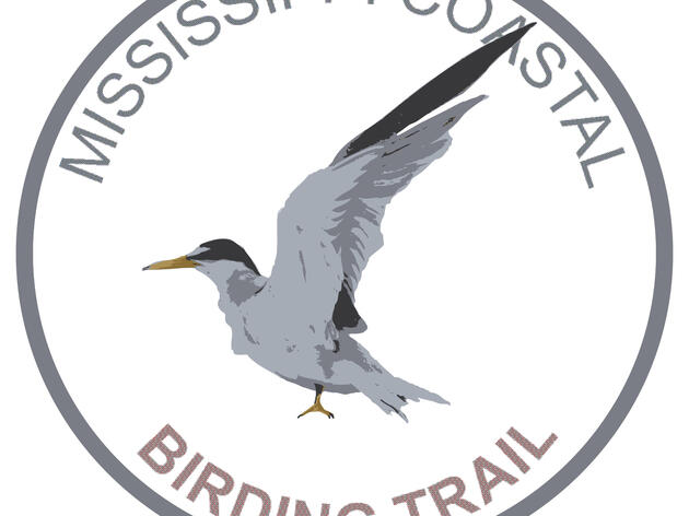 Mississippi Coastal Birding Trail Is Now LIVE