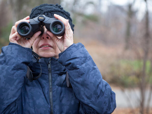 Help Count Birds for Science during Audubon’s 118th Annual Christmas Bird Count