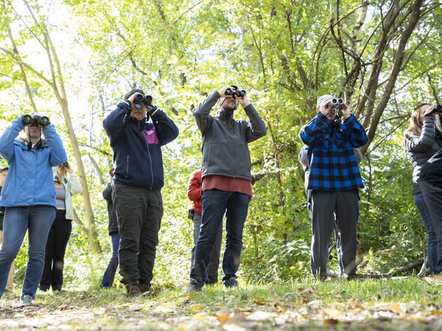 Little Rock Birding Hot Spots