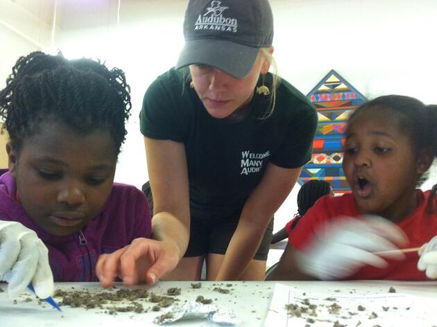 Audubon Arkansas Receives 3M Ecological Grant