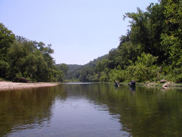 Buffalo National River Designated Important Bird Area