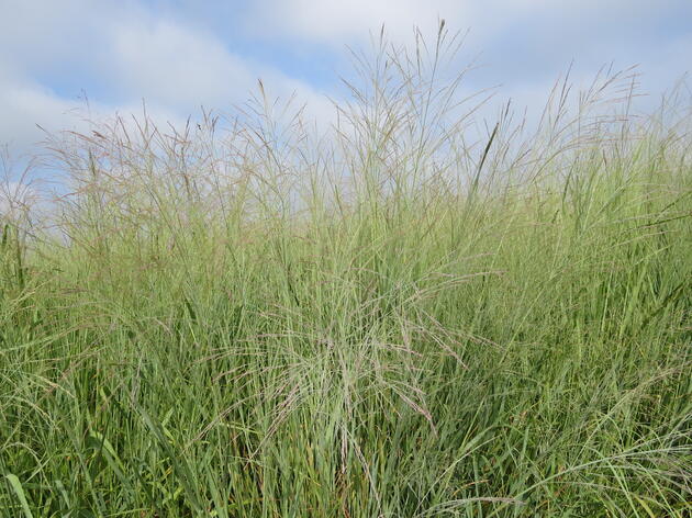 USDA Invests in Farm Conservation Work