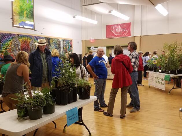 Recap: 2018 Fall Native Plant Sale