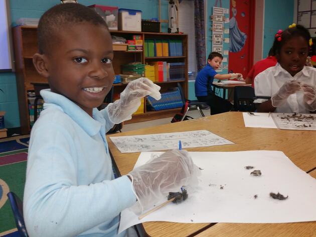 Classroom Programs