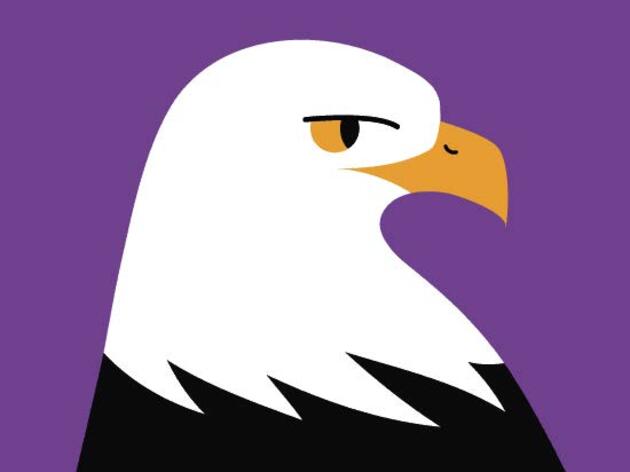 For Kids!- Birds of Prey