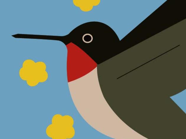 For Kids!- Hummingbirds