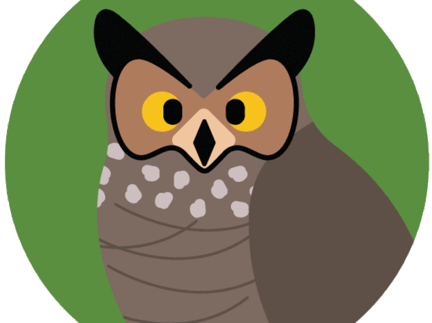For Kids!- Owl Prowl