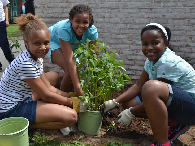 Schoolyard Habitat