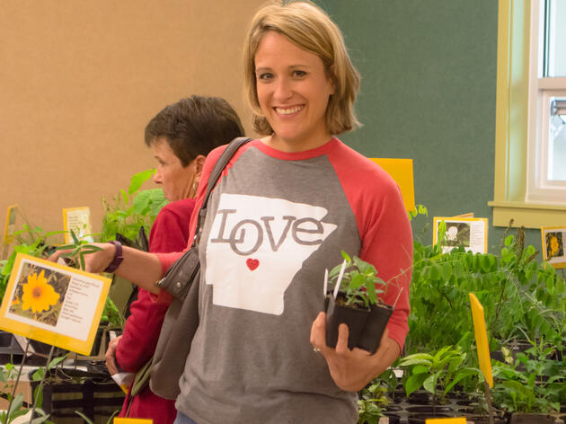 Native Plant Market