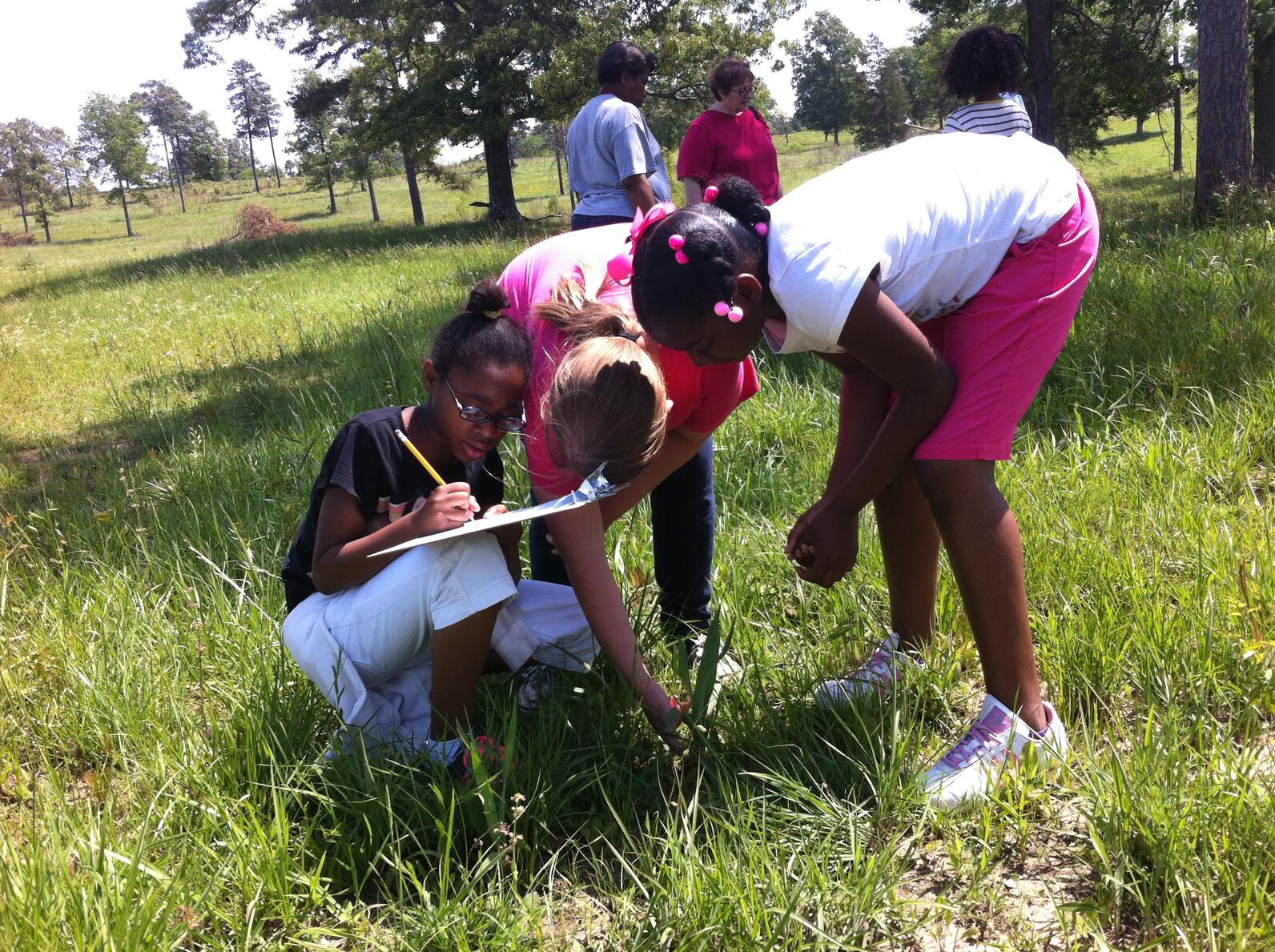 A group of kids taking notes in a grassy field. Adults supervise in the background.