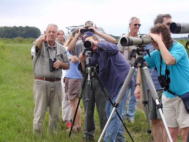 A group of birders gather in a field with their binoculars and tripod scopes.