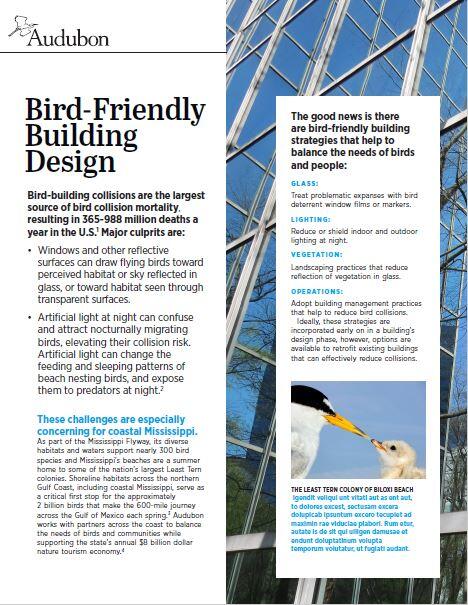 An Audubon document with the title, Bird-Friendly Building Design.