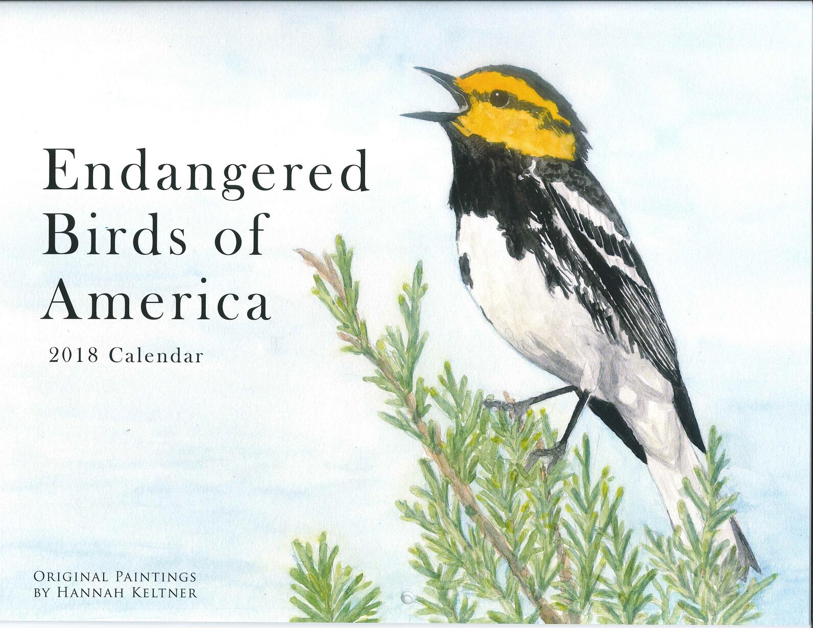 2018 Endangered Birds of America Calendar