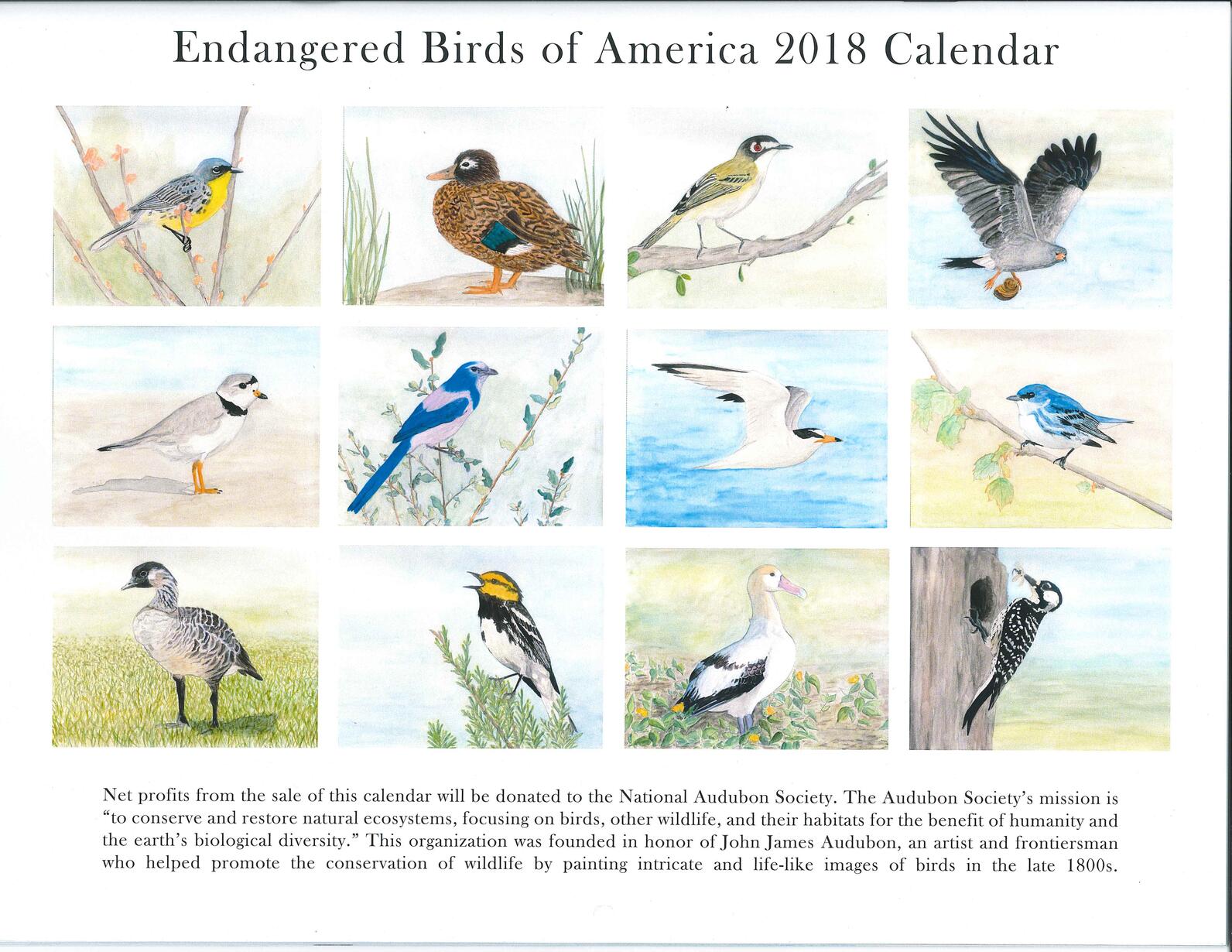 2018 Endangered Birds of America Calendar
