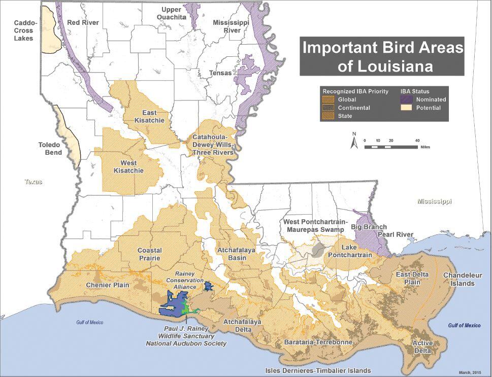 A map with text that reads, important bird areas of Louisiana.