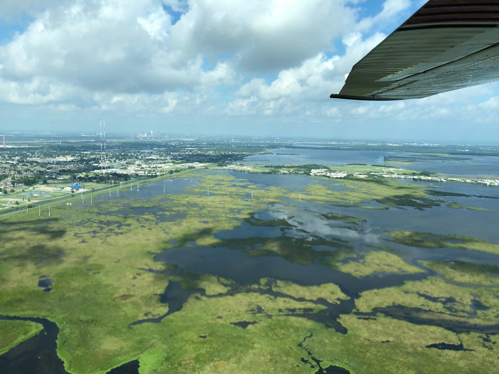 Unhealthy marsh next to coastal communities in Louisiana.