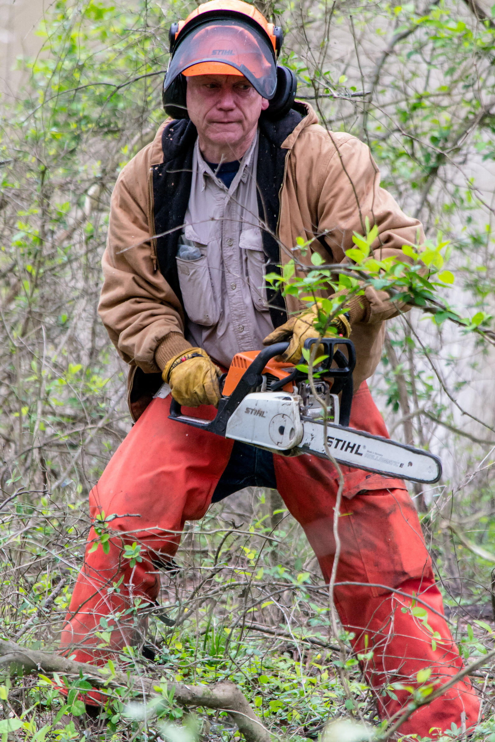 Invasive Species Control