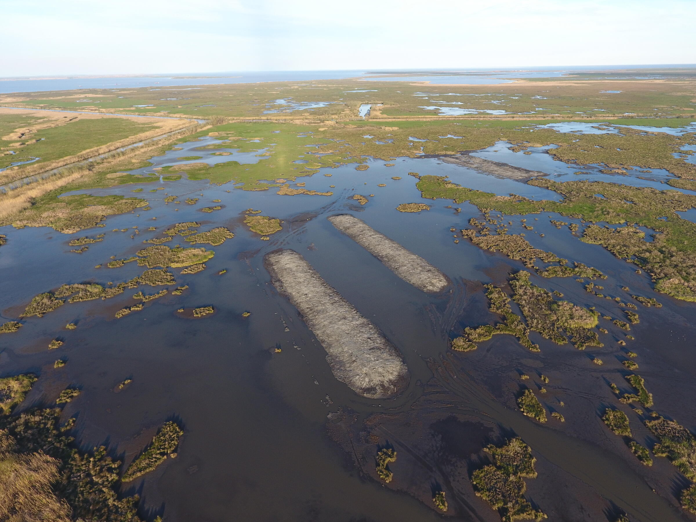 An aerial view of a swampy area.